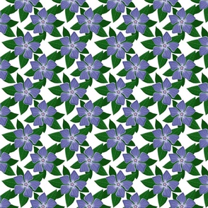 Periwinkle flower 4x4 white