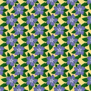 Periwinkle flower 4x4 yellow