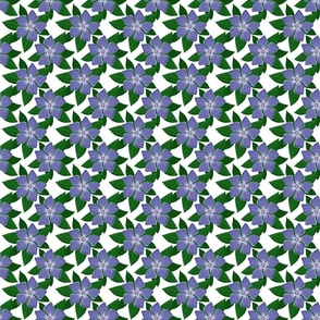 Periwinkle flower 3x3 white