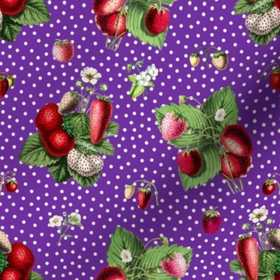 Strawberries and dots on purple ground