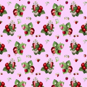 Strawberries and dots on rose ground 