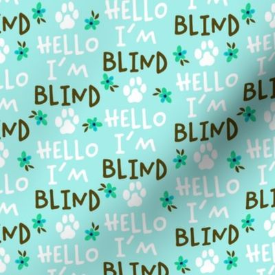 Hello I'm Blind -Aqua