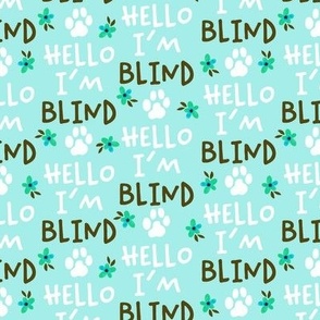 Hello I'm Blind -Aqua