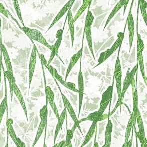 willow myrtle - agonis flexuosa