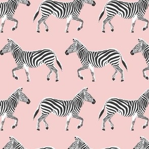 natisha zebra dance - blush