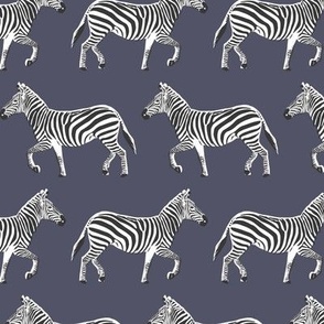 natisha zebra dance - dusty denim blue