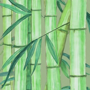Jumbo-Green  bamboo-forest-redux