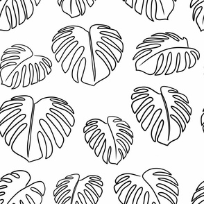Monstera tropical leaves lineart with white background