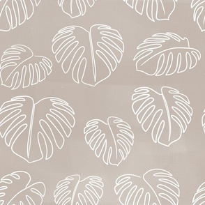 Monstera tropical leaves lineart with creamy background