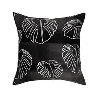 Monstera tropical leaves with textured black background