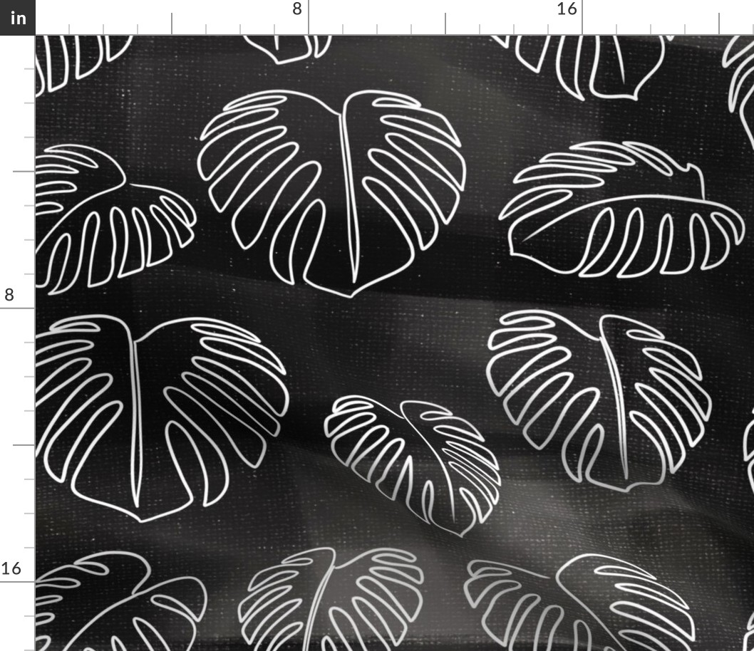 Monstera tropical leaves with textured black background