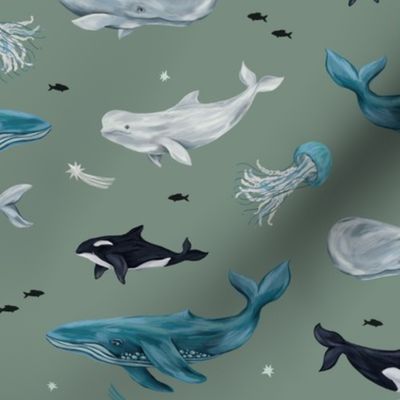 Whales and jellyfishs (green)