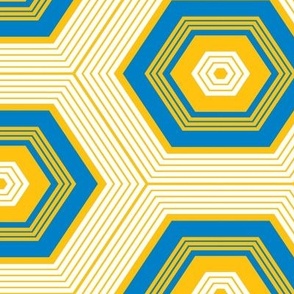 The Blue the Yellow and the White: Hexagon