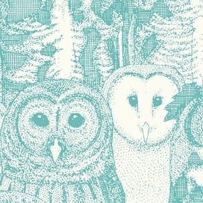 owls NC aqua large