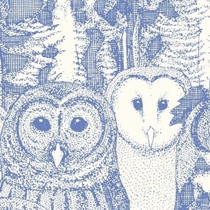 owls NC periwinkle light blue large