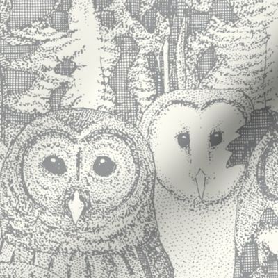 owls NC silver large