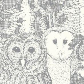 owls NC silver large