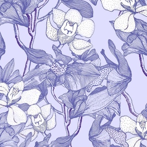 Orchids in very peri on lilac background 