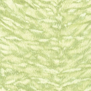 tiger-fur_honeydew_celery_green