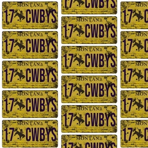 Cowboys License Plate 