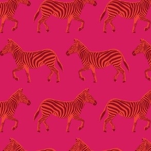 EMILY zebra dance - hot pink