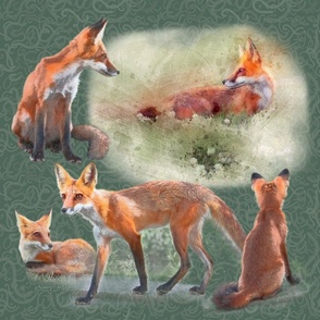 18x18 Inches Panel of Five Young Foxes on Woodland Green