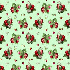 Strawberries and dots on candy green ground