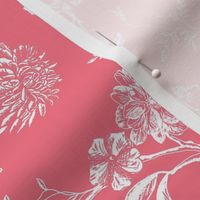 pink Toile