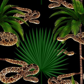 Snake,serpent,tropical,exotic,pattern