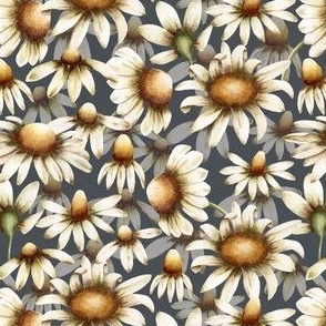 Chamomile in gray-blue background