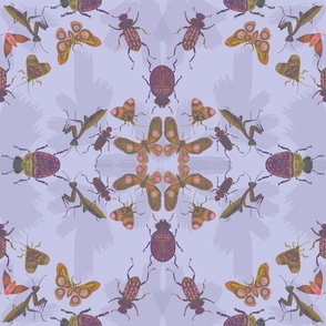 Insect Kaleidoscope