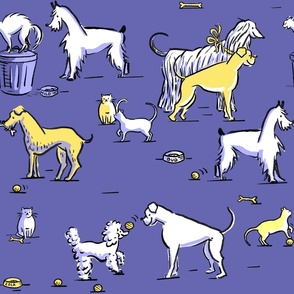 Dogs and cats playing in the street, purple, yellow, white