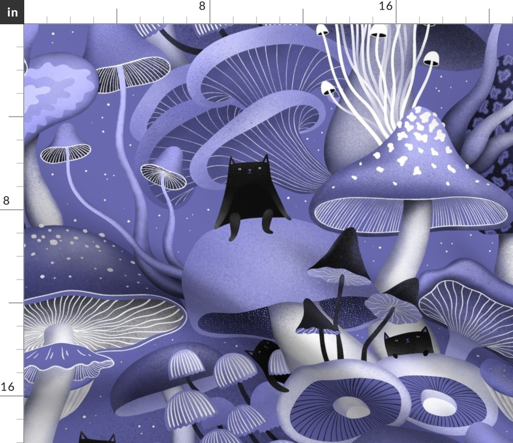 Large scale / Mushrooms and cats very peri