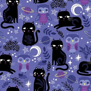 Twilight cat garden