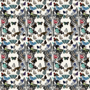 Thoraxpattern