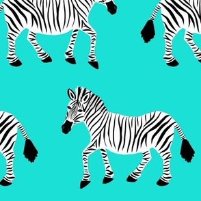 Zebra Parade - Class Black and White on Bright Aqua - Large Scale