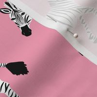 Zebra Parade - Class Black and White on Bright Pink - Large Scale