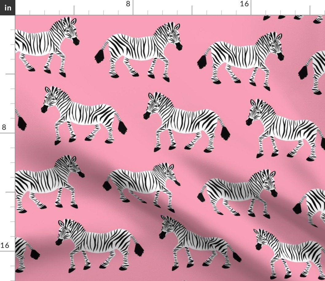 Zebra Parade - Class Black and White on Bright Pink - Large Scale