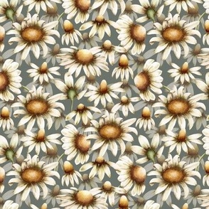 Chamomile in greenish gray background