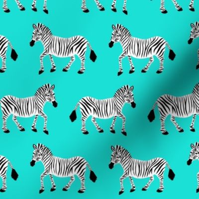 Zebra Parade - Class Black and White on Bright Aqua - Small Scale