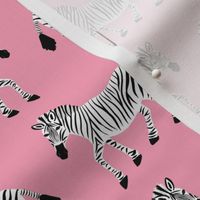 Zebra Parade - Class Black and White on Bright Pink - Small Scale