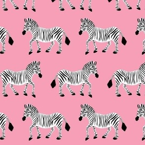 Zebra Parade - Class Black and White on Bright Pink - Small Scale