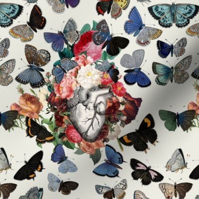 hearts and butterflies