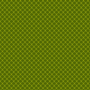 Papa's lattice (green)