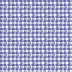 Veri Peri Gingham small Rough n Tumble