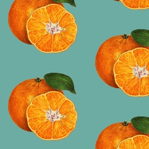 Vintage Oranges