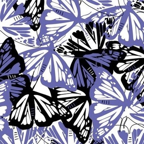 Peri Butterflies - Large