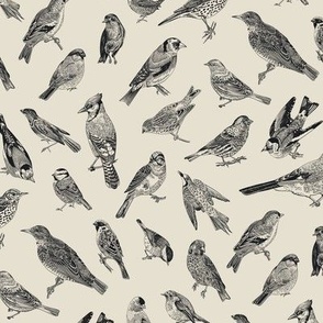 Birds. Black and white_10