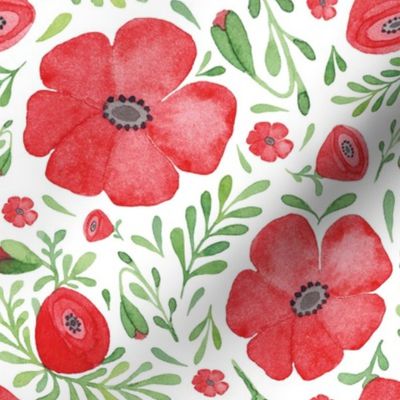 Poppies red