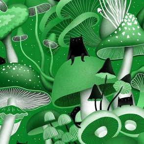 Mushrooms and cats green